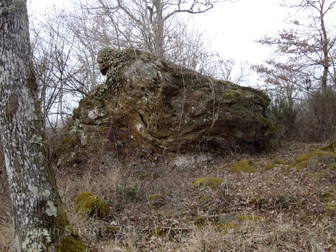 la pierre virande dans la foret