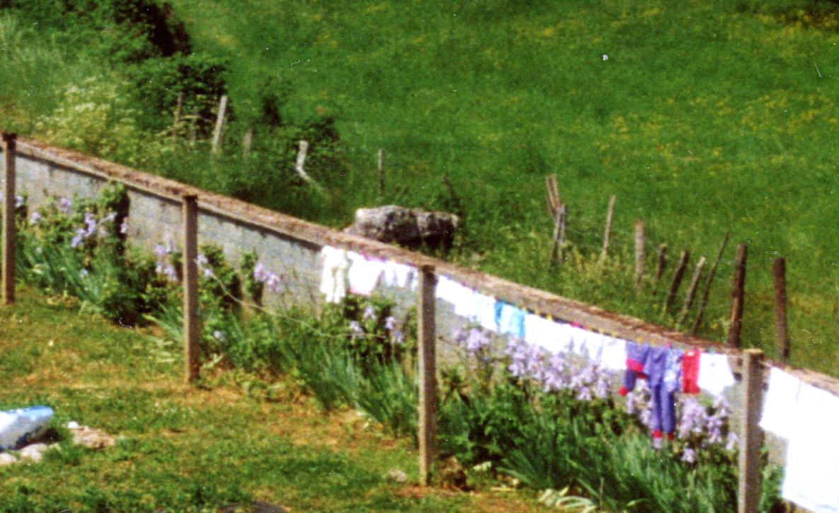 jardin-mur-fontaine