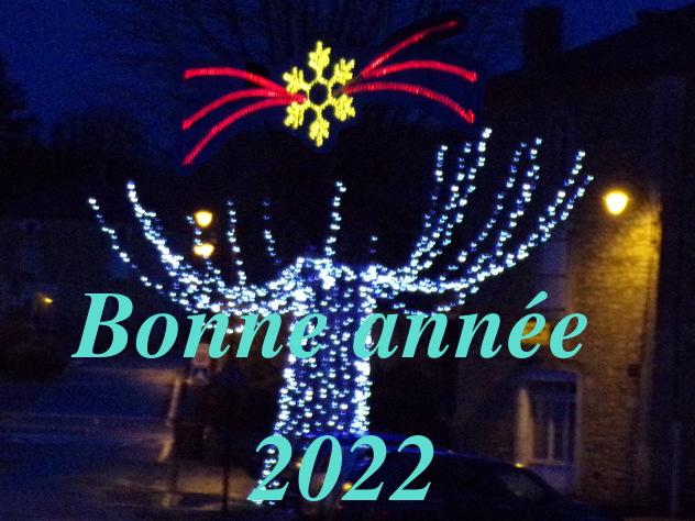 Bonne-annee-2022.JPG