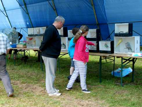 Foire-animaux_02web.jpg