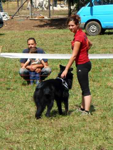 Foire-animaux_11web.jpg