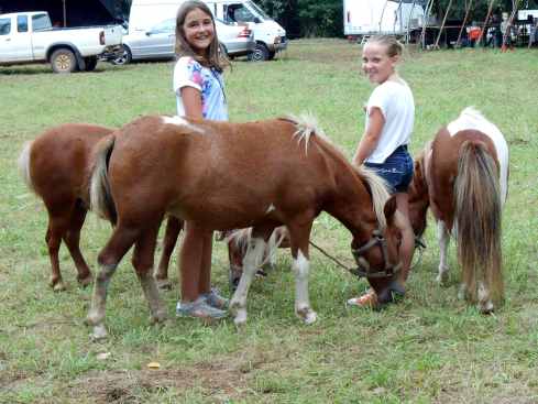 Foire-animaux_14web.jpg